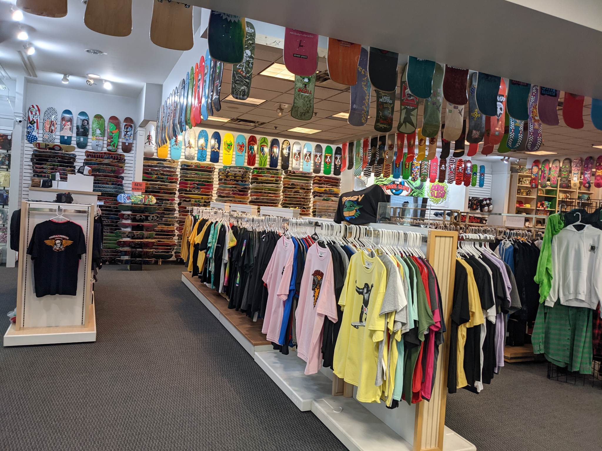ENTIRE STORE