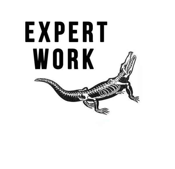 Expert Work Records