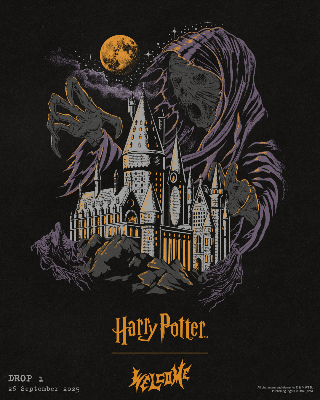 WELCOME x Harry Potter – The Dark Slide