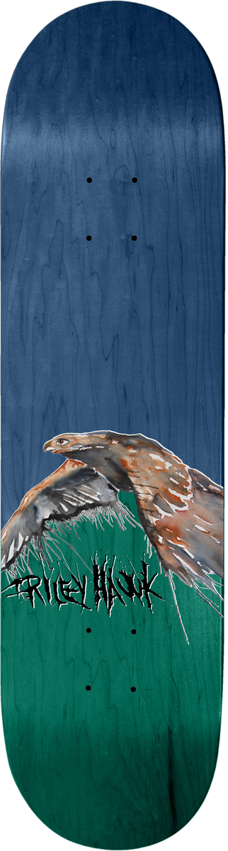 Baker Riley Hawk Shepdawgs 4 8.38" Complete Skateboard