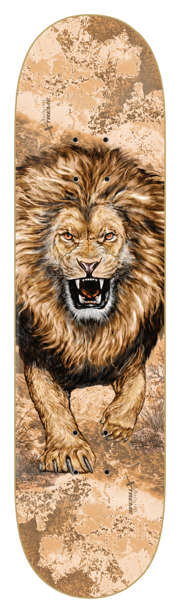 Tommy Sandoval Realtree Lion