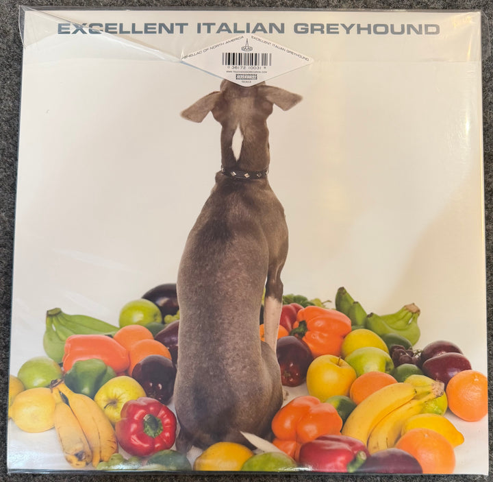 Shellac - Excellent Italian Greyhound Vinyl LP Record