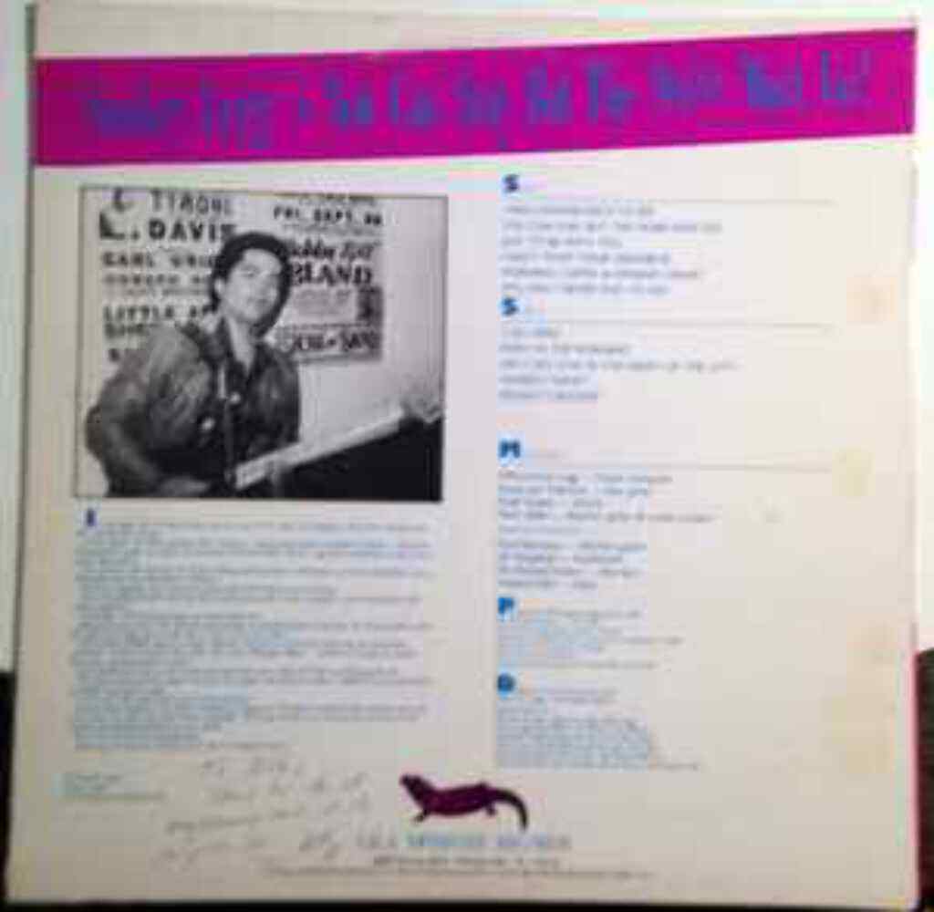Smokey Logg – You Can Stay But The Noise Must Go Vinyl LP Record *USED 1984 RELE