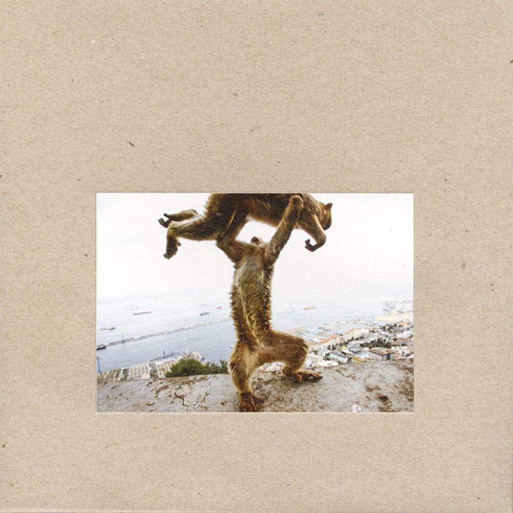 Shellac - Dude Incredible Vinyl LP Record