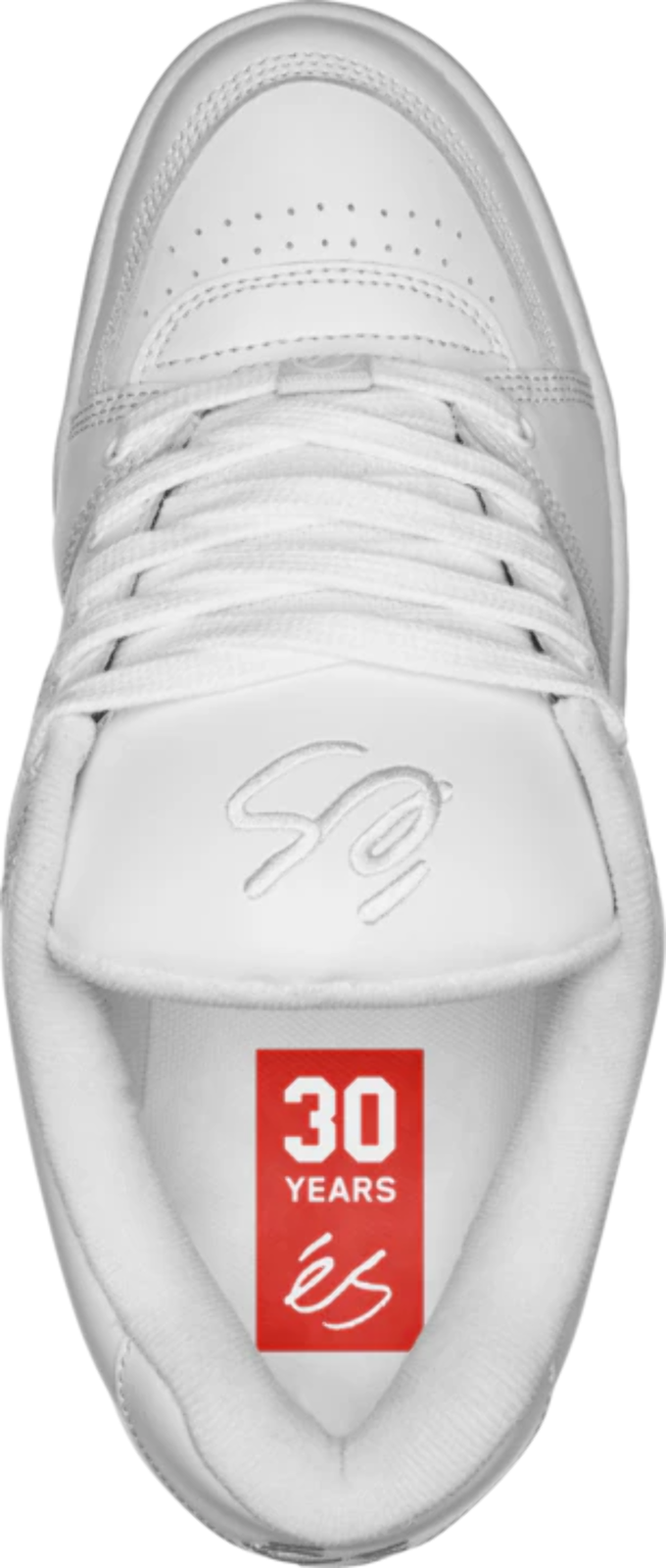 eS Accel Skate Shoes
