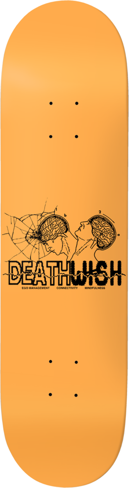 Deathwish Jake Hayes Mindfulness 8.475" Complete Skateboard