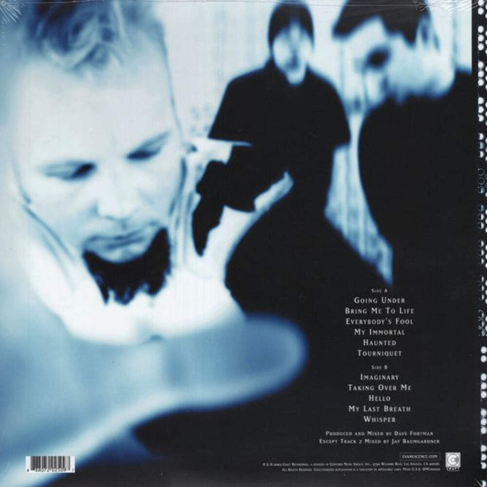 Evanescence – Fallen Vinyl LP Record