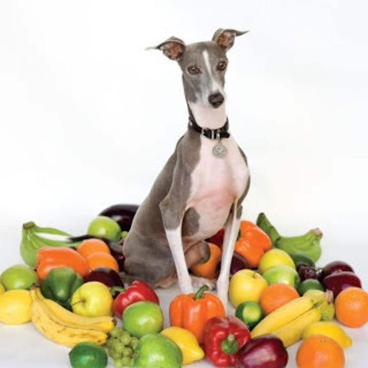 Shellac - Excellent Italian Greyhound Vinyl LP Record