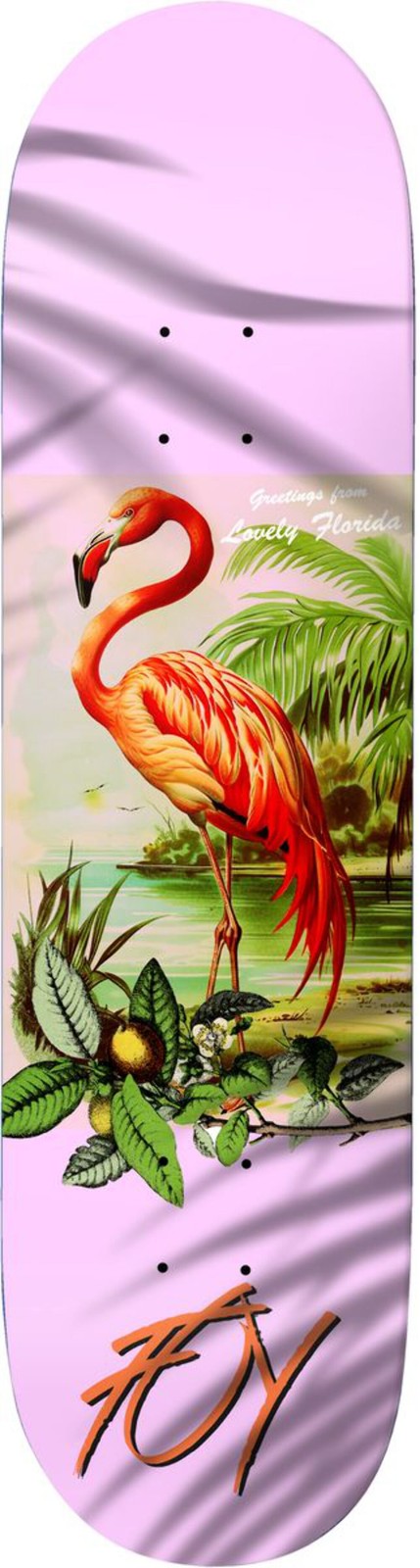 Deathwish Foy "Flamingo" 8" Skateboard Deck