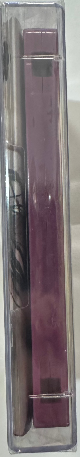 Björk – Medúlla Cassette