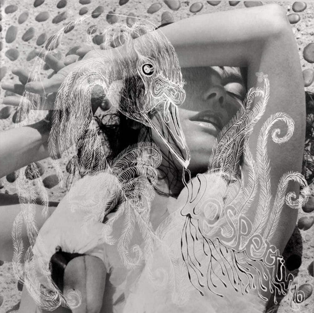 Björk – Vespertine 180G 2x Vinyl LP Record