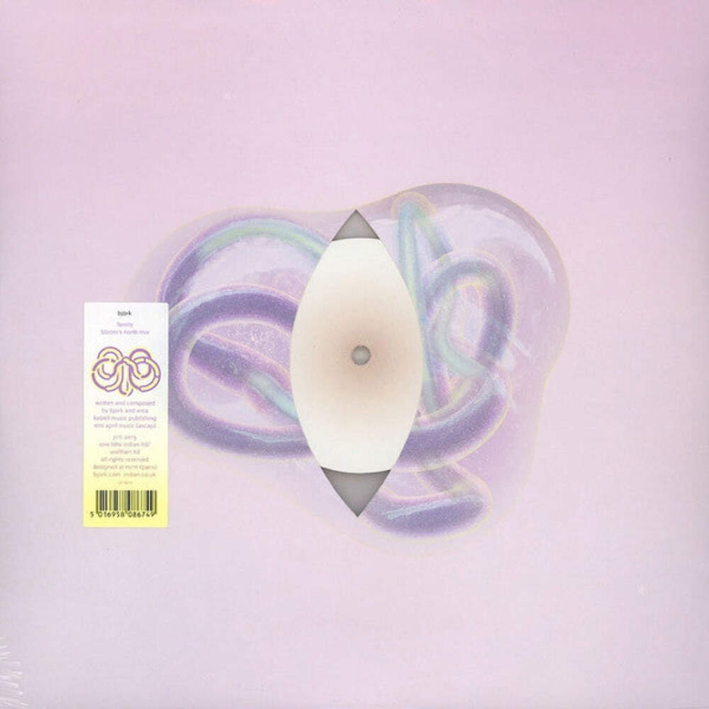 Björk – Family (Bloom's North Mix) Vinyl LP Record