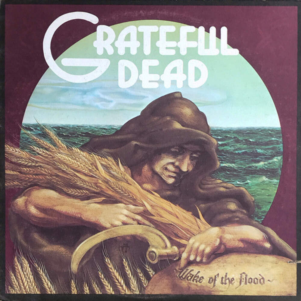 Grateful Dead - Wake Of The Flood Vinyl LP Record