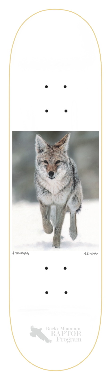 ZERO THOMAS COYOTE 8.5" SKATEBOARD DECK