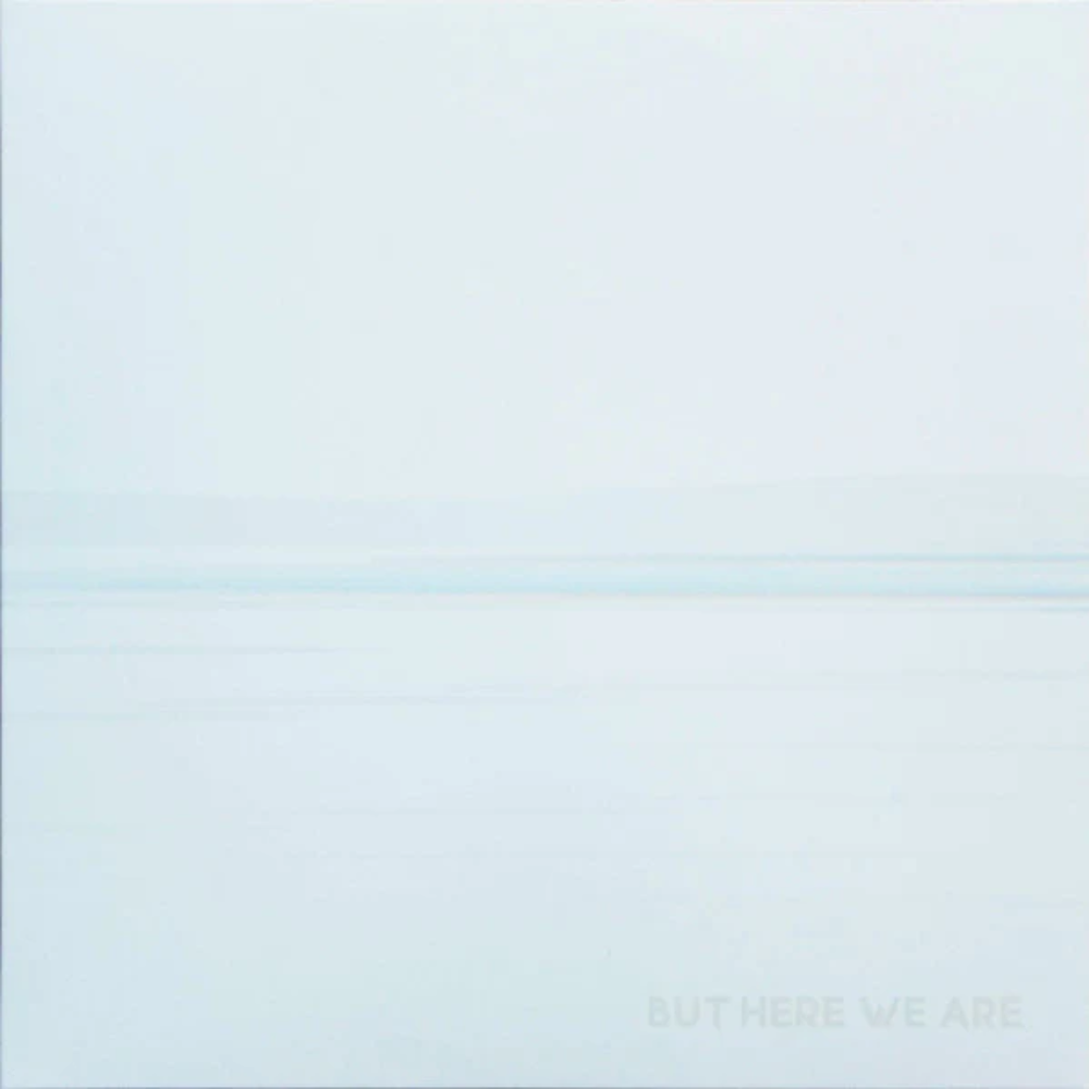 Foo Fighters - But Here We Are White Color Vinyl LP Record