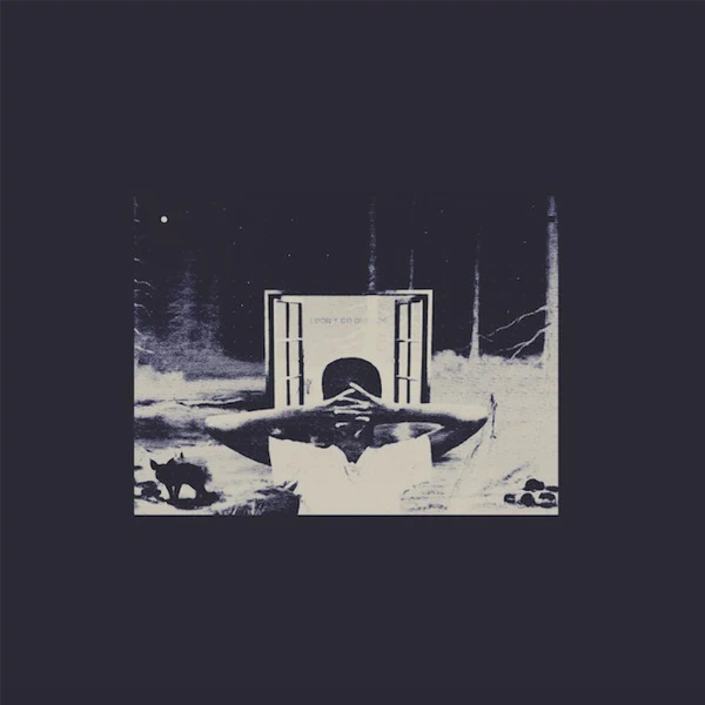 Earl Sweatshirt – I Don't Like Sh*t, I Don't Go Outside (An Album By Earl Sweats