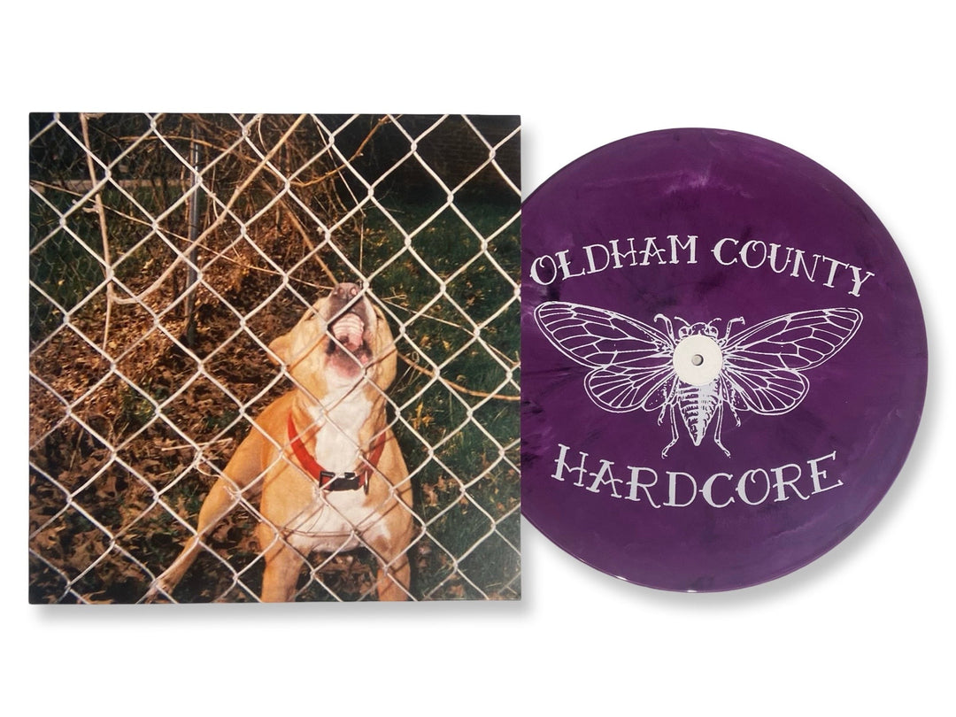 Knocked Loose - Pop Culture (Limited Edition Etched Purple Colored Vinyl)