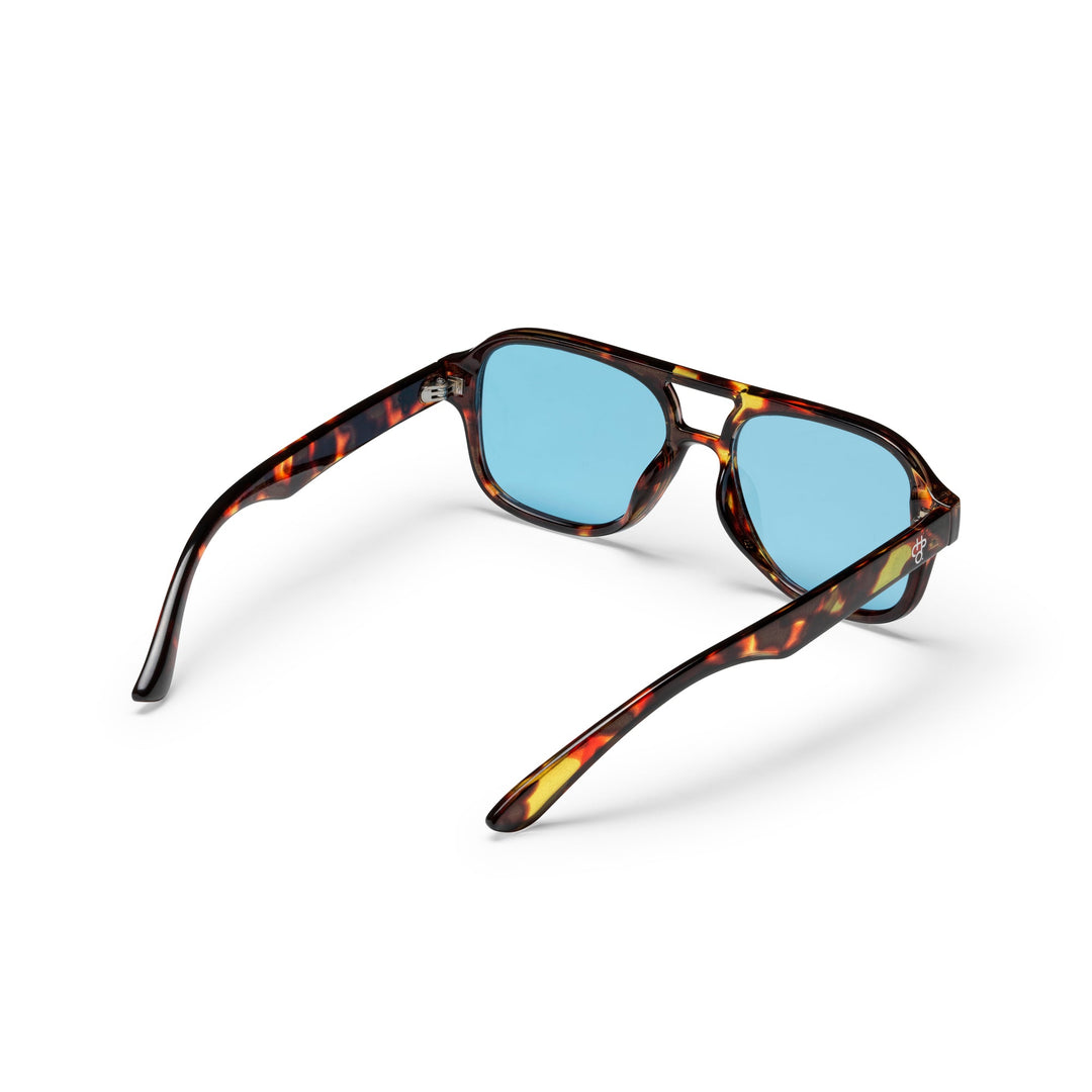 CHPO Cocas Turtle Brown Sunglasses — rear view