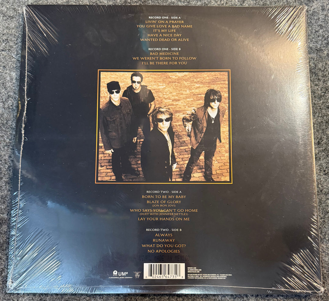 Bon Jovi - Greatest Hits Back Vinyl Record Cover