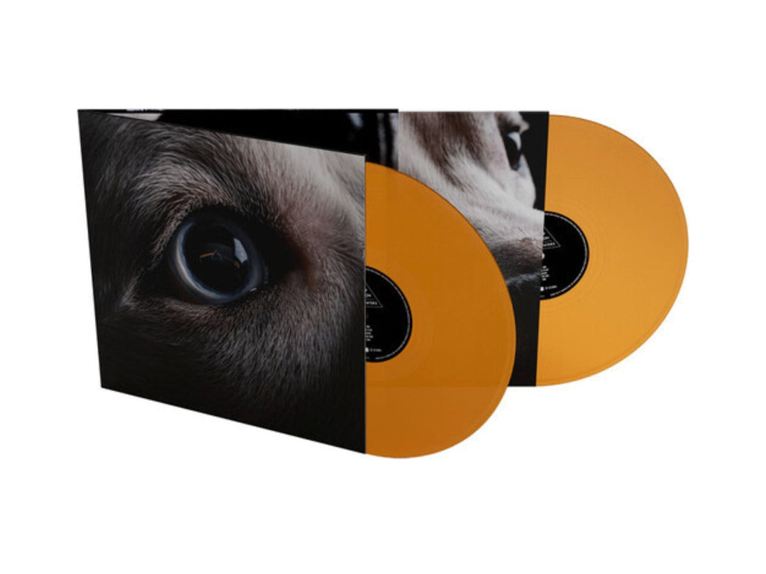 Roger Waters - The Dark Side Of The Moon Redux (Limited Orange Vinyl, 2x LP)