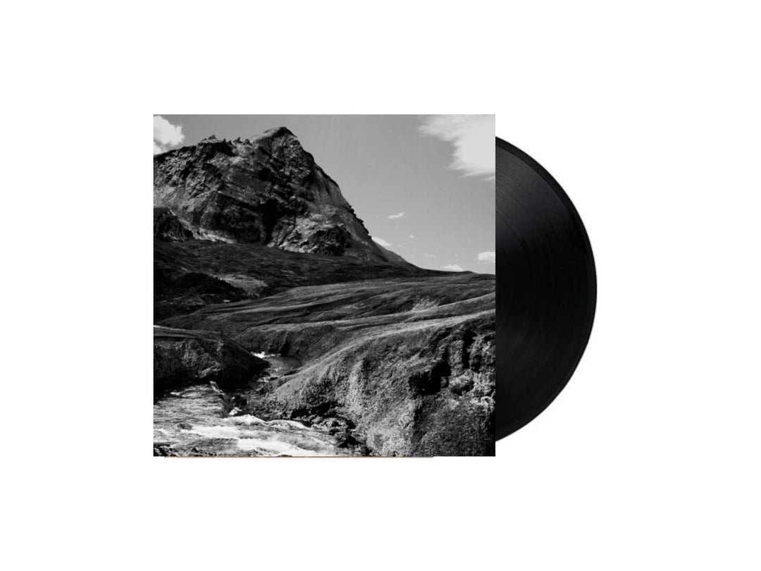 Andrew Bird - Outside Problems (Vinyl LP)