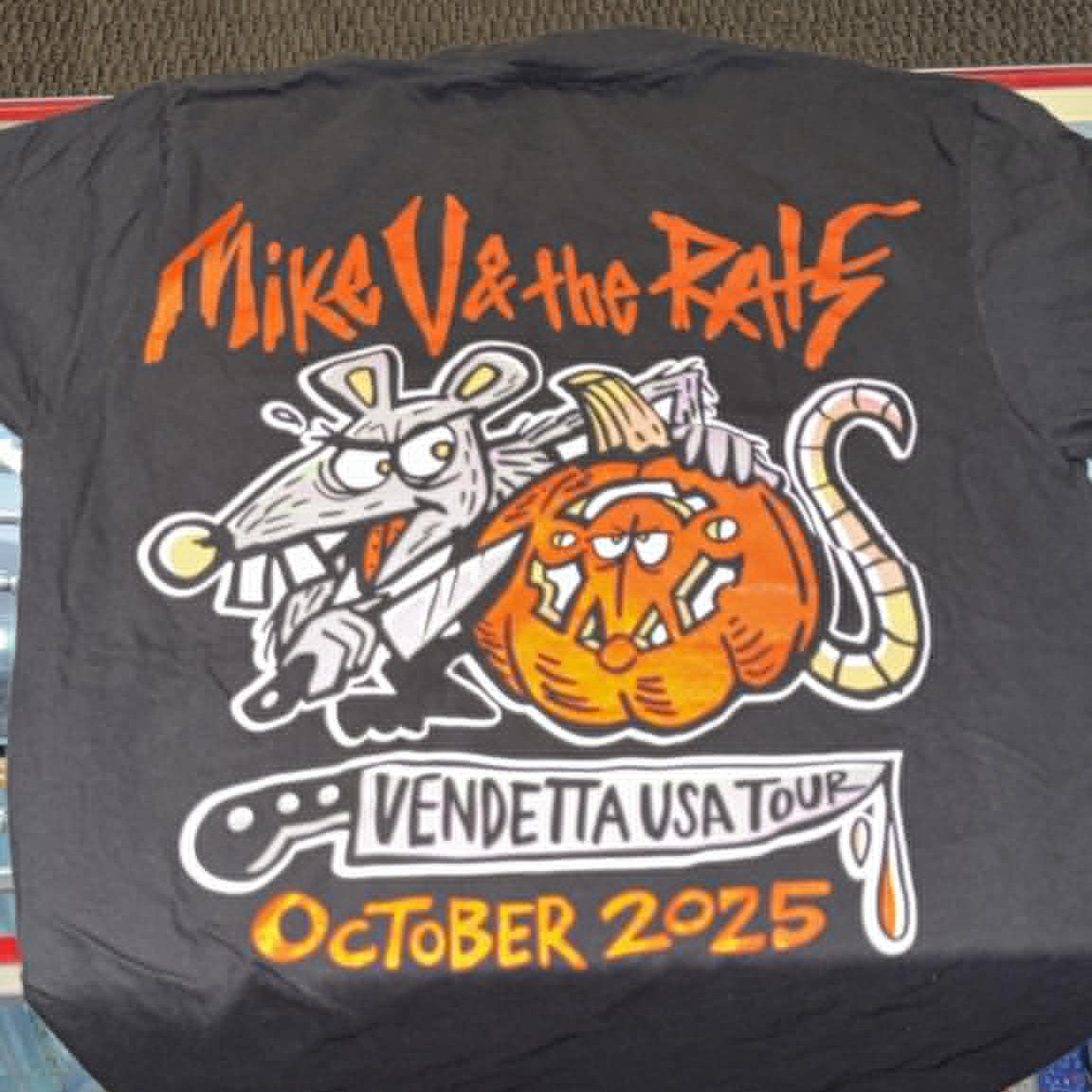 Mike Vallely – The Dark Slide