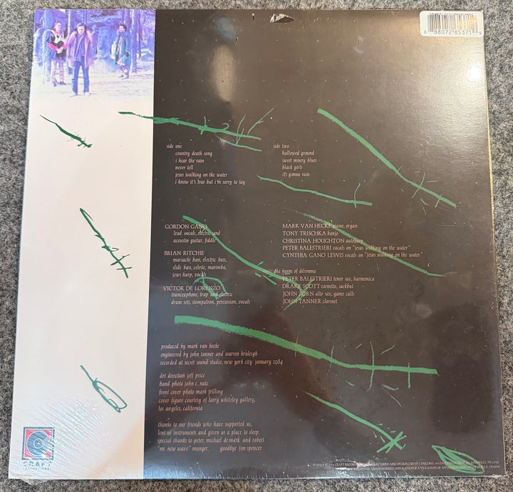 Violent Femmes - Hallowed Ground [Orange Smoke Vinyl] Back Vinyl Record Cover