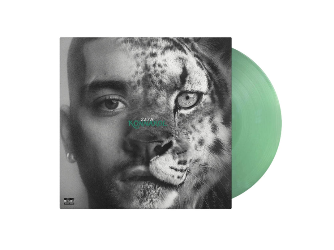 Zayn - KONNAKOL [Swimming Through Seas]
