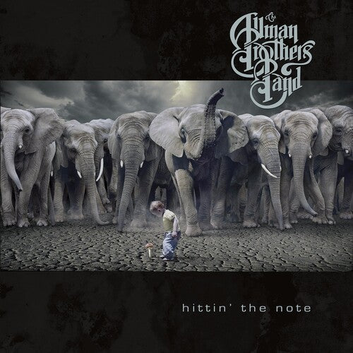 The Allman Brothers Band - Hittin' The Note (Indie Exclusive Vinyl)