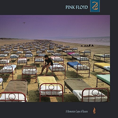 Pink Floyd - A Momentary Lapse Of Reason (Vinyl LP)