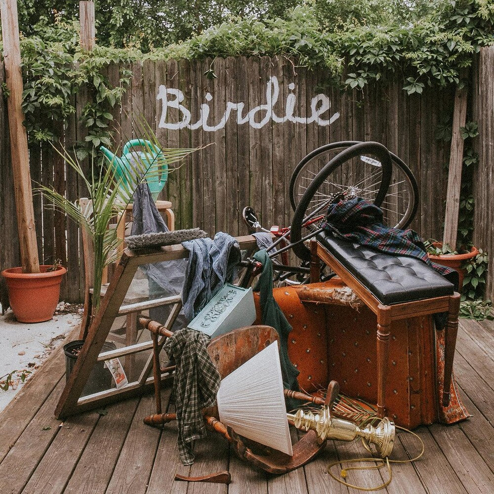 Slaughter Beach, Dog - Birdie [LP]