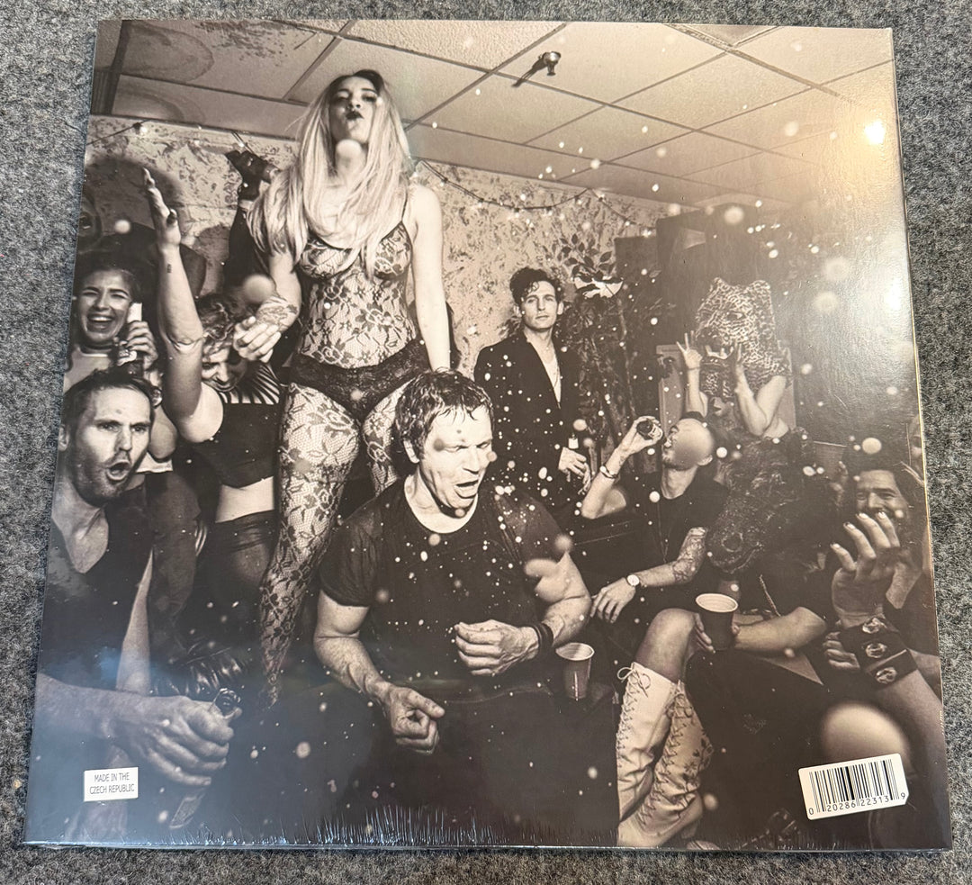 Third Eye Blind – We Are Drugs Back Vinyl Record Cover