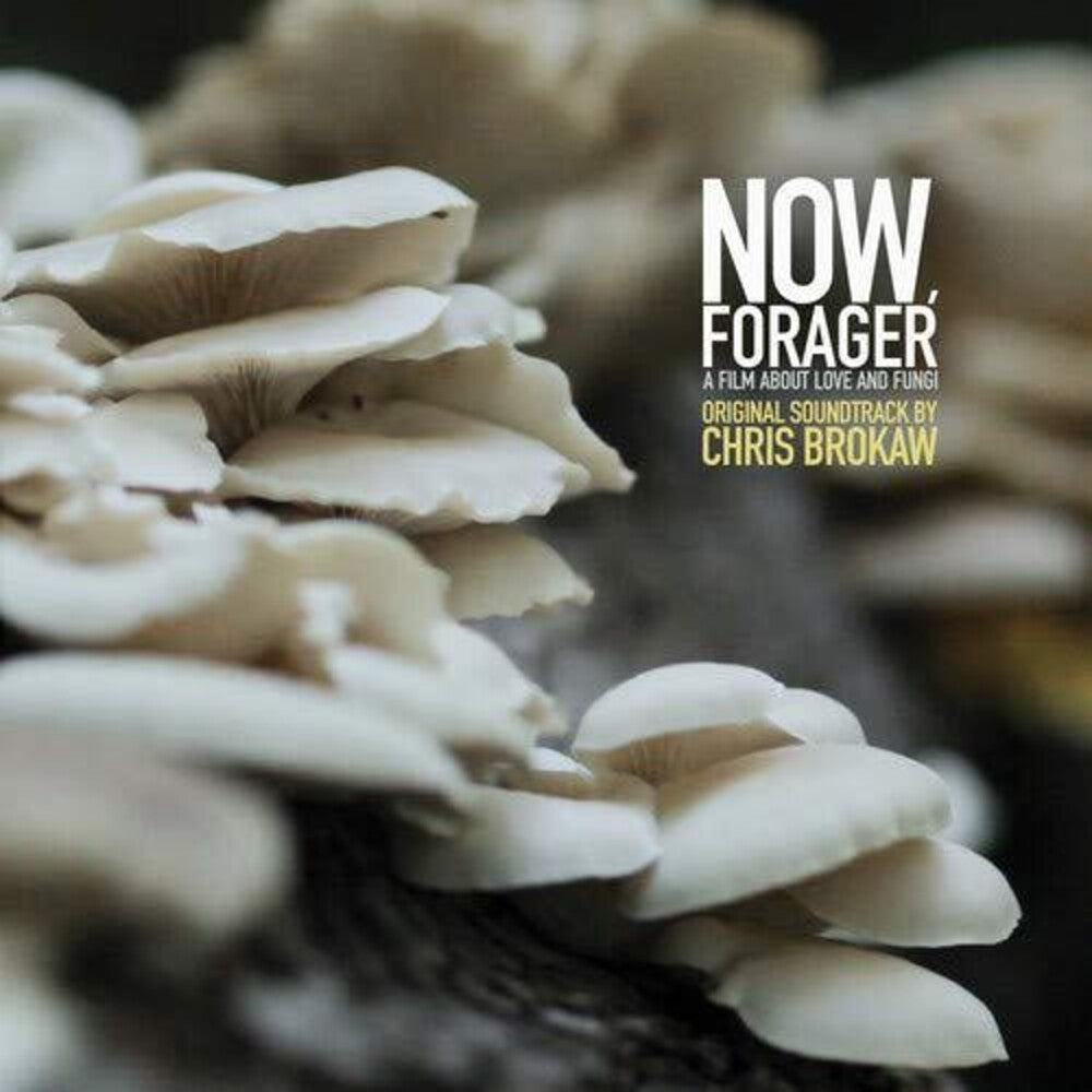 Chris Brokaw - Now Forager (Original Soundtrack) [LP]