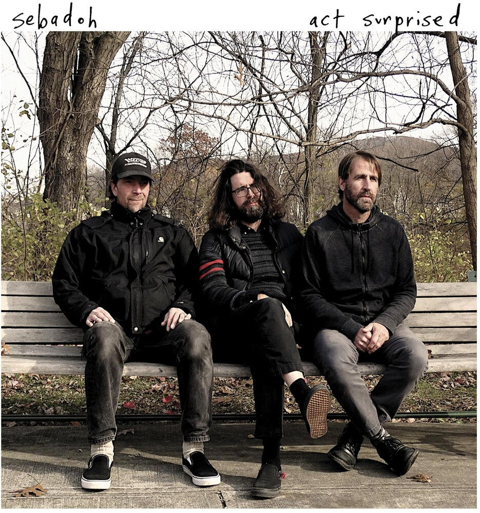 Sebadoh - Act Surprised [LP]