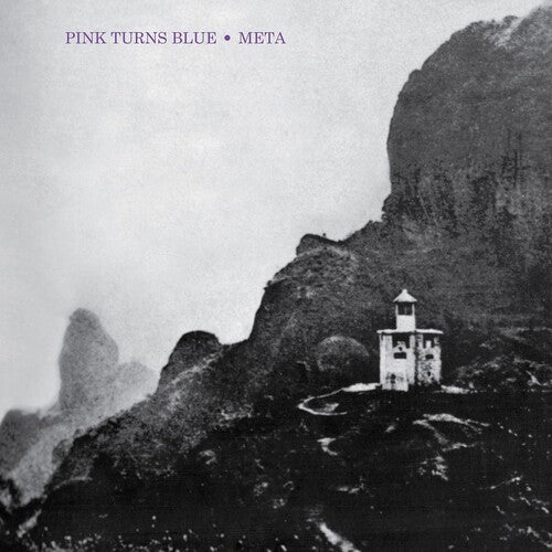 Pink Turns Blue - Meta (Indie Exclusive) (Indie Exclusive Vinyl)