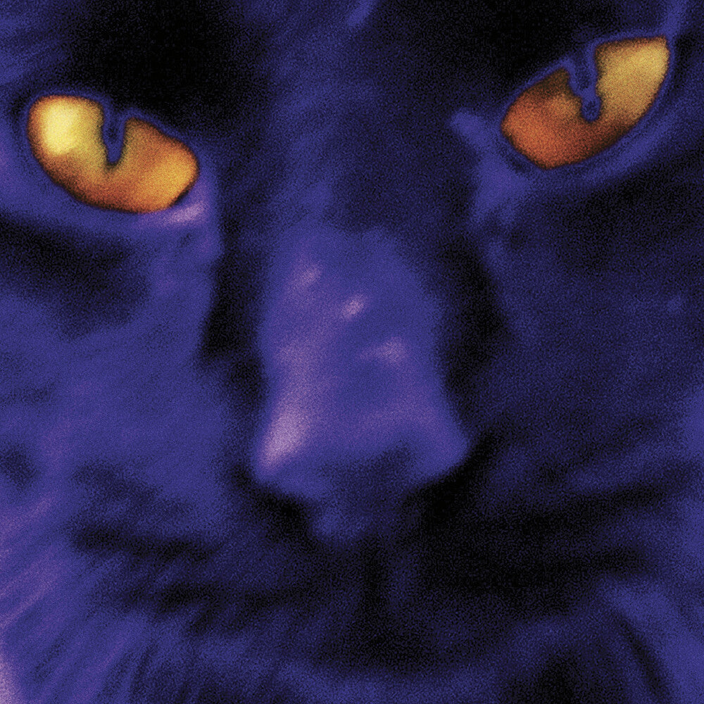 David Kilgour and the Heavy Eights - Bobbie's A Girl [LP]