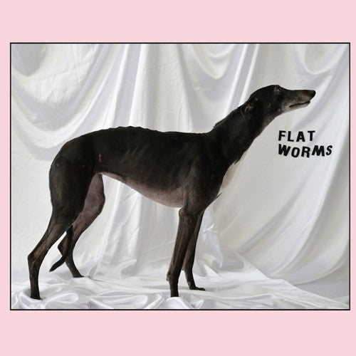 Flat Worms - Flat Worms [LP]