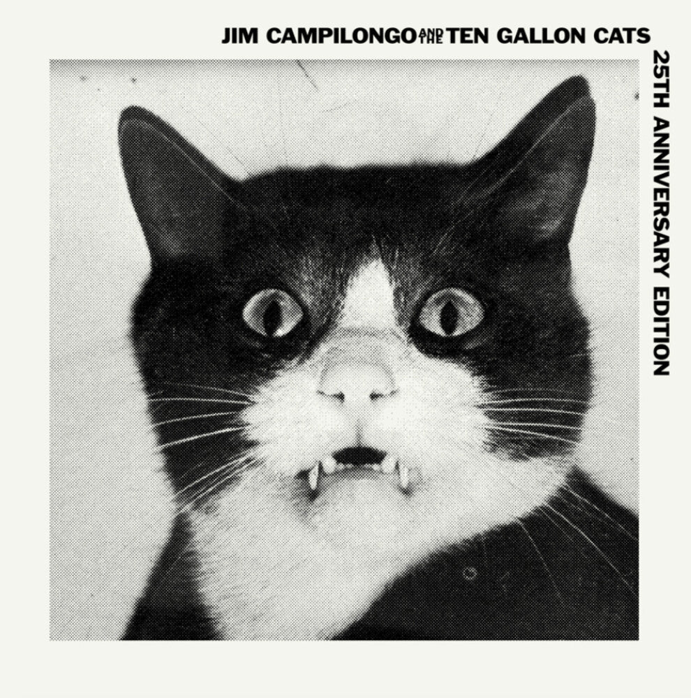 Jim Campilongo / Ten Gallon Cats - Jim Campilongo & Ten Gallon Cats [LP]