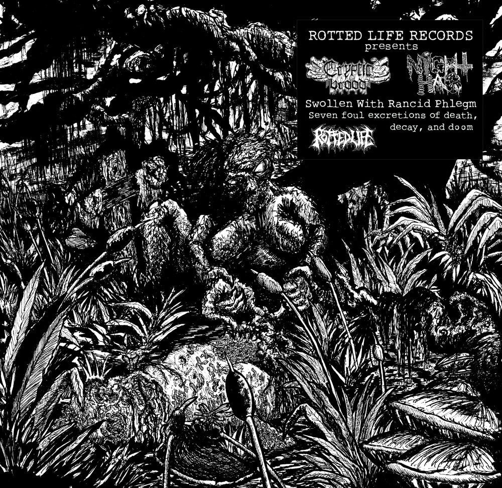 Cryptic Brood & Night Hag - Swollen With Rancid Phlegm [LP]