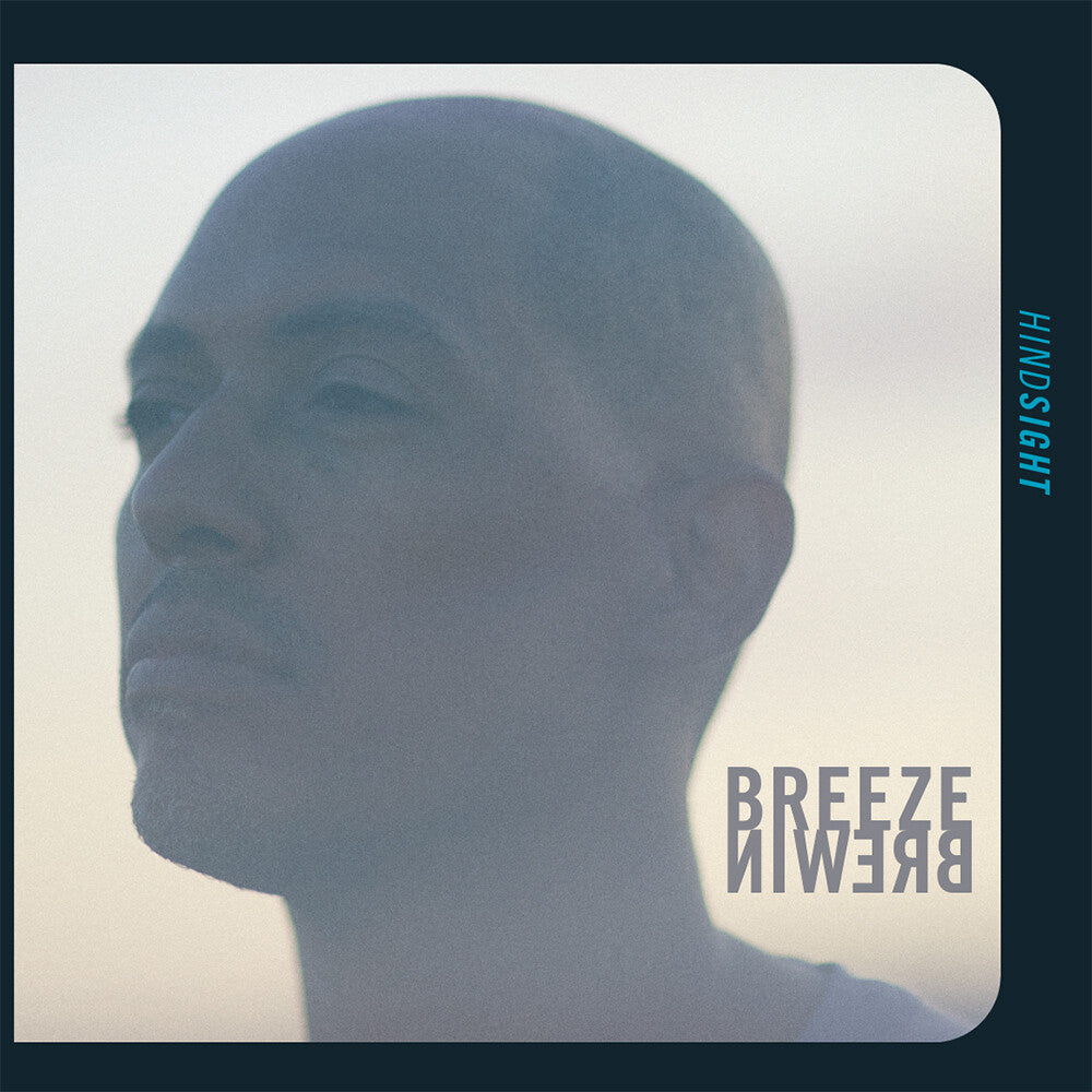 Breeze Brewin - Hindsight [LP]