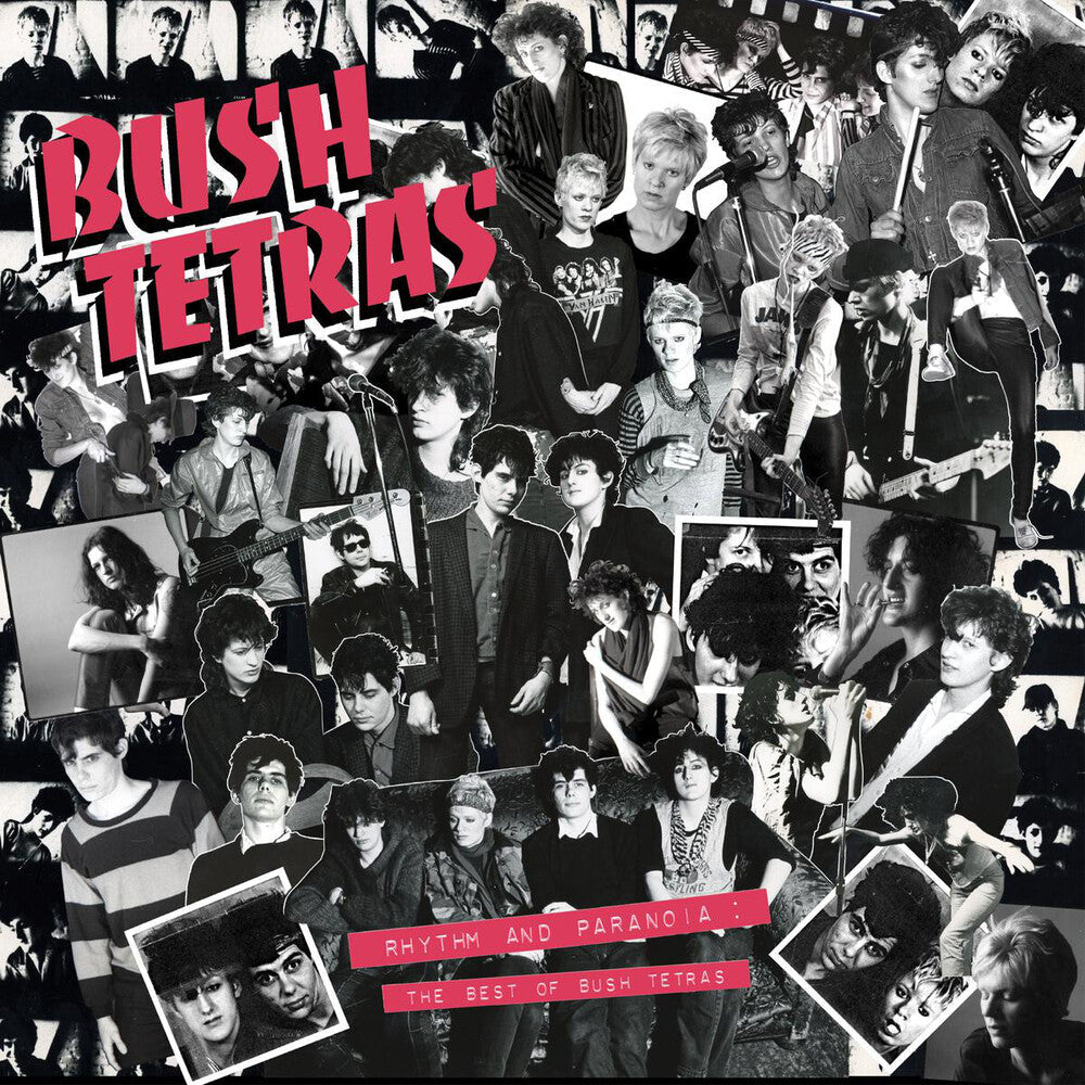 Bush Tetras - Rhythm & Paranoia: The Best Of Bush Tetras [LP]