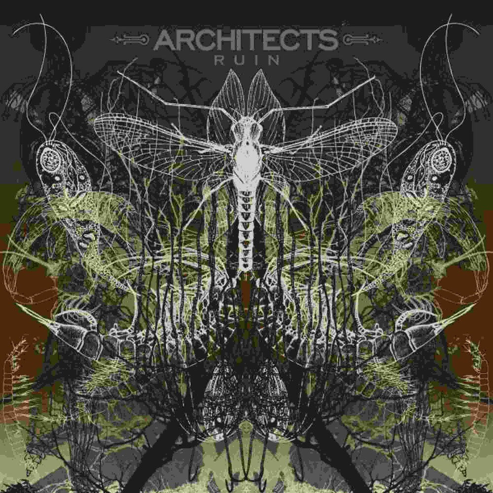 Architects - Ruin (Can) [LP]