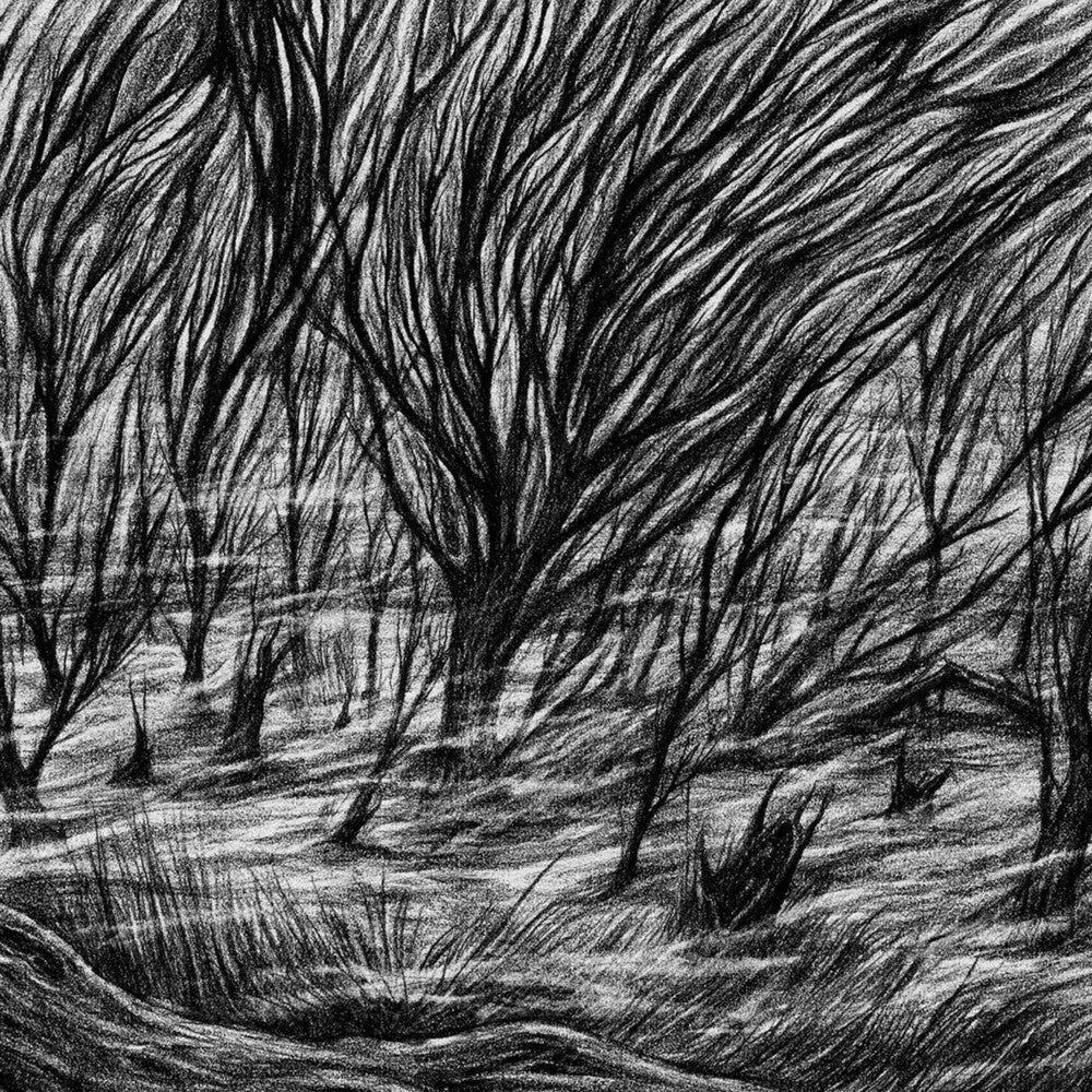 Bismuth - The Eternal Marshes [LP]
