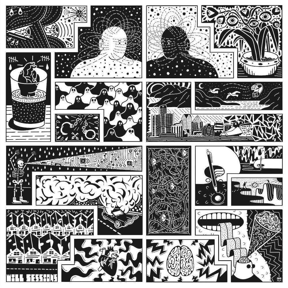 Will Sessions - Electromagnetic Reality [LP]