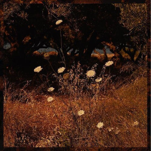 Szun Waves - Earth Patterns (Indie Exclusive Vinyl)