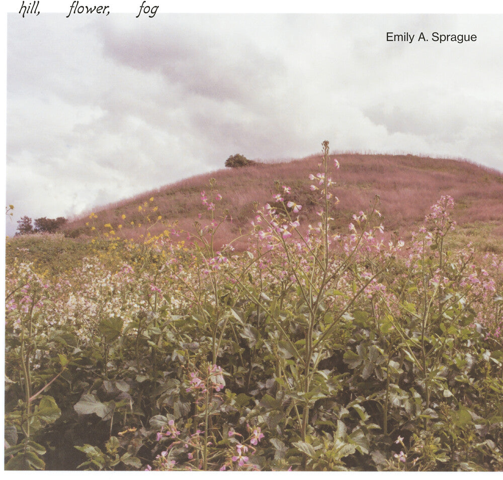 Sprague, Emily a. - Hill, Flower, Fog - Foggy White [LP]