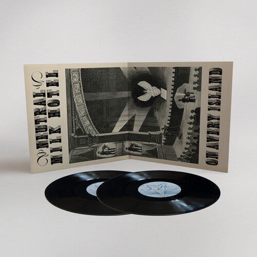 Neutral Milk Hotel - The Collected Works Of Neutral Milk Hotel (Vinyl LP)