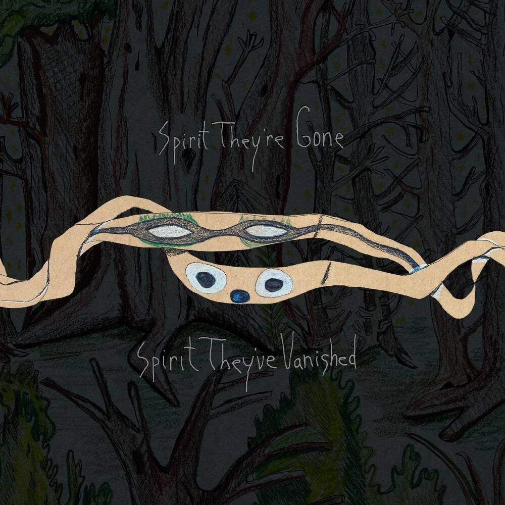 Animal Collective - Spirit They're Gone, Spirit They've Vanished: Remastered 2023 [2LP]