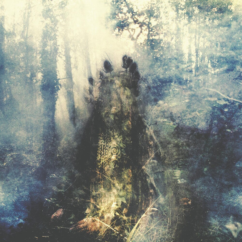 Sylvaine - Wistful (Bonus Track) [Clear Vinyl] (Gate) [Limited Edition] (Trq)