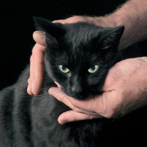 Peter Kernel - White Death, Black Heart (Vinyl LP)